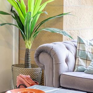 Appartement met Drie Slaapkamers